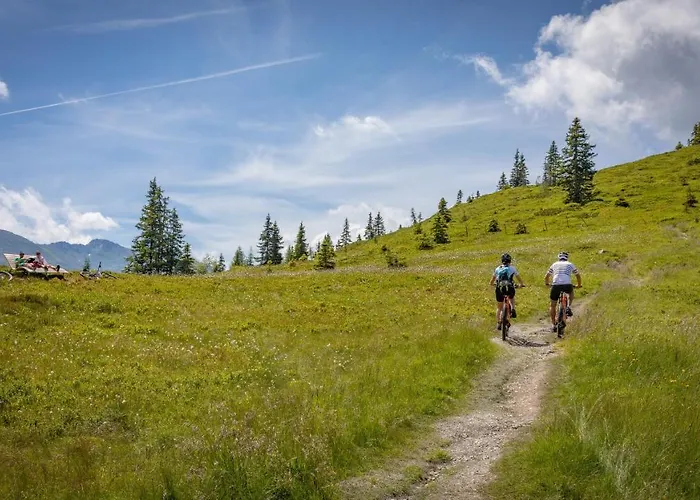 Zillertal By Alps 4*