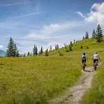 Zillertal By Alps 4*